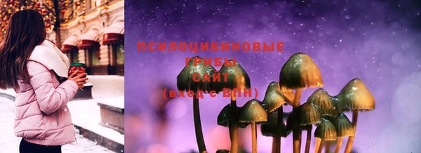стафф Абинск