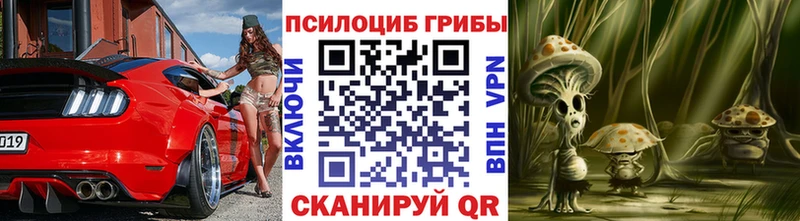 купить закладку  Новочеркасск  Галлюциногенные грибы прущие грибы 