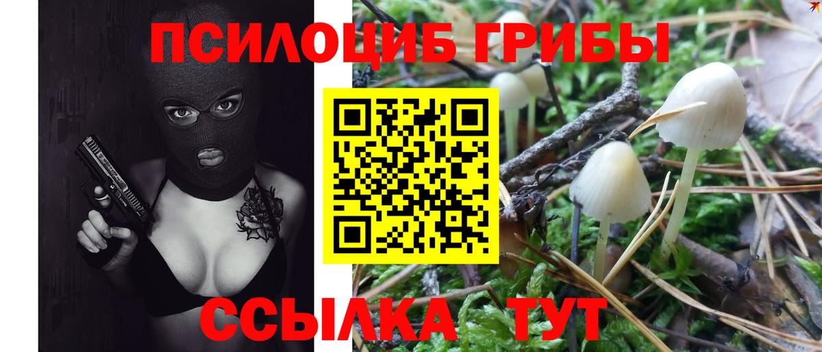 Галлюциногенные грибы ЛСД Новочеркасск