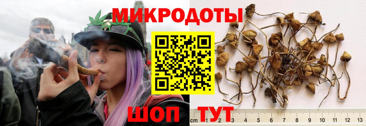 Новочеркасск  Псилоцибиновые грибы ЛСД  Вход с VPN 